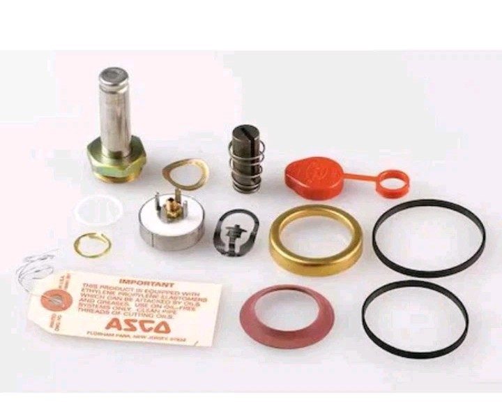 Asco 312712 Valve Rebuild Kit, With Instructions. FreeShipL48