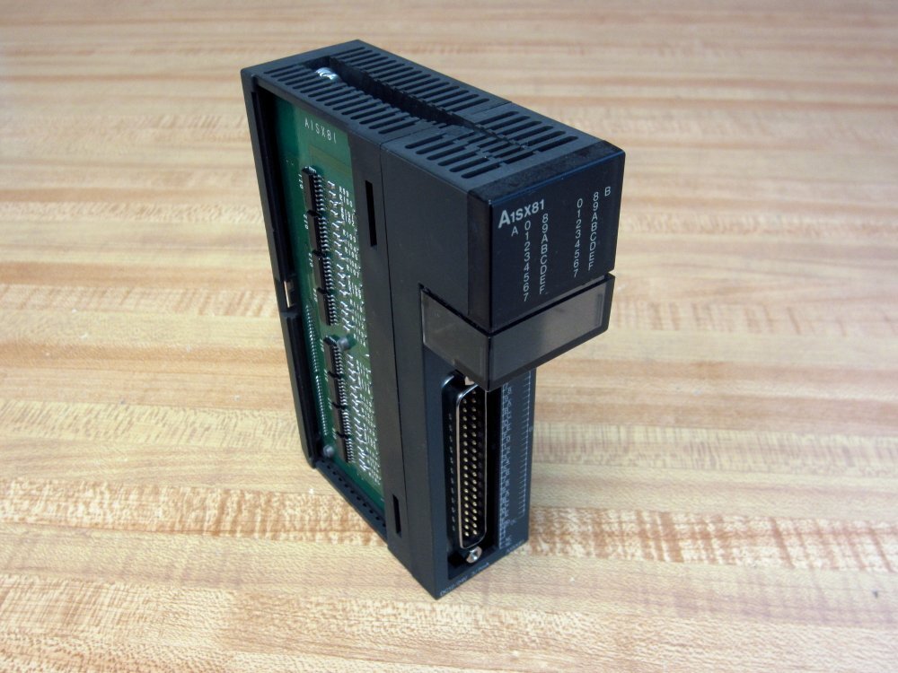 Mitsubishi A1SX81 Input Unit