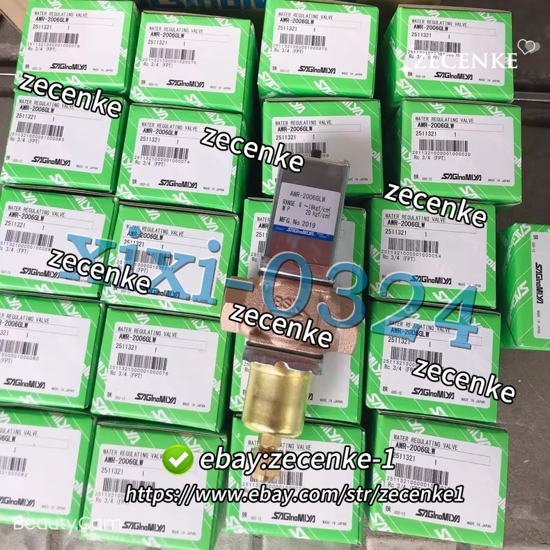 NEW Saginomiya AWR-2006GLW Pressure regulating valve Fast delivery