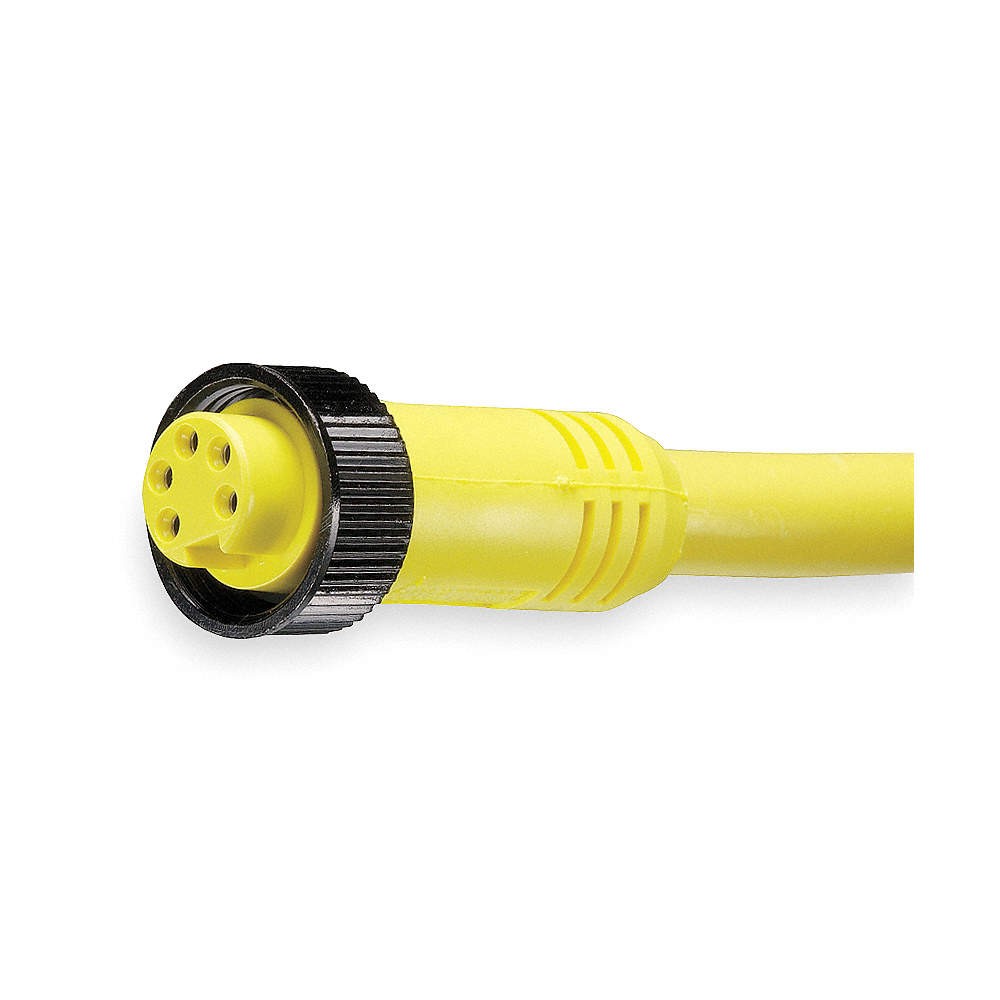 BRAD HARRISON 105000A01F060 Cordset,5 Pin,Receptacle,Female 5AA48