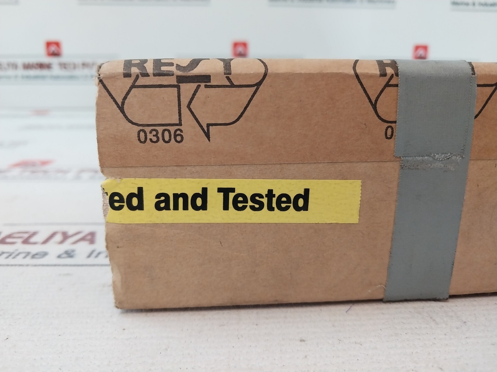 Rheintacho 5823.200 Programmable Speed Monitor 24V DC 20 mA