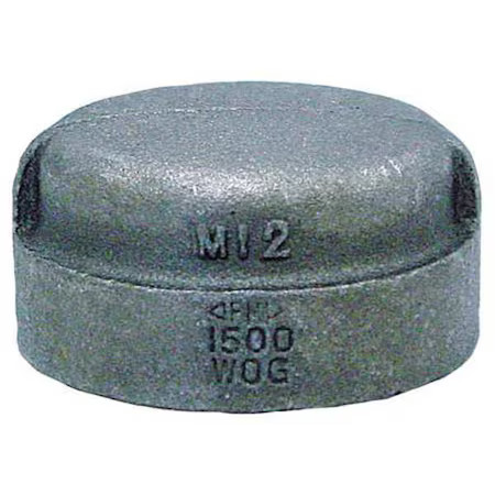 Anvil 0318901402 Cap Cap, 2″ Pipe, Fnpt, Malleable Iron, Class 3000