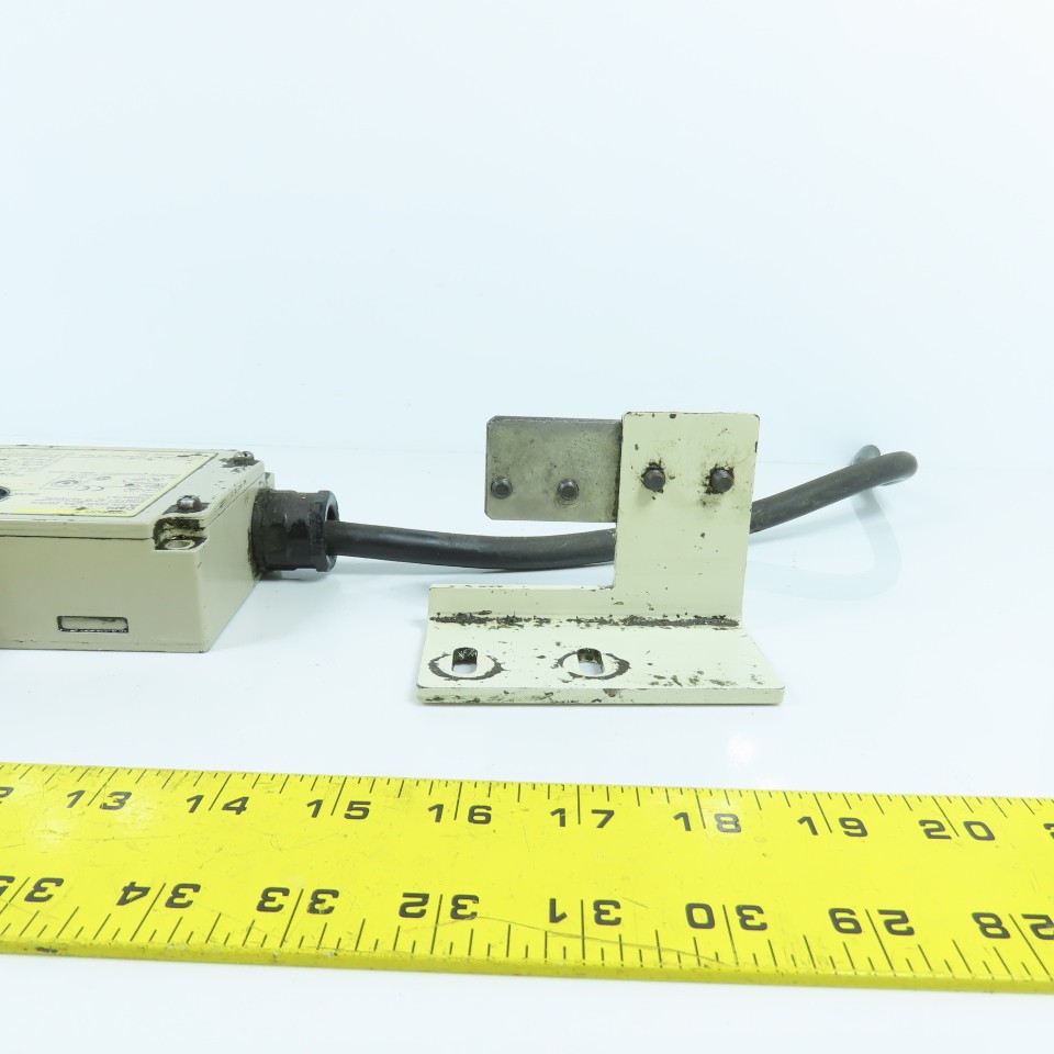 Omron D4BL-2CRA 24VDC Safety Door Gate Guard Interlock Switch W/ Mount